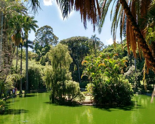 OS 10 MELHORES parques em Belo Horizonte - Tripadvisor