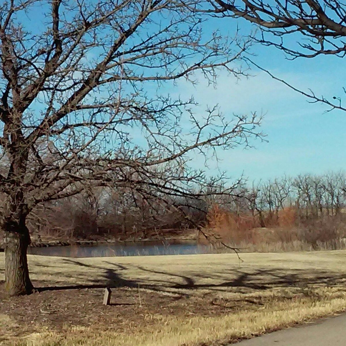 Dyck Arboretum of the Plains (Hesston) - Alles wat u moet weten VOORDAT ...