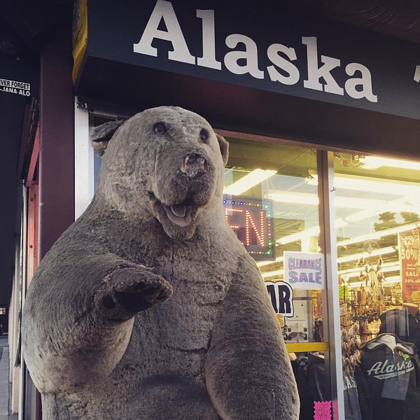 THE BEST Shopping in Anchorage Tripadvisor