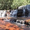 Things To Do in Cachoeira do Funil, Restaurants in Cachoeira do Funil