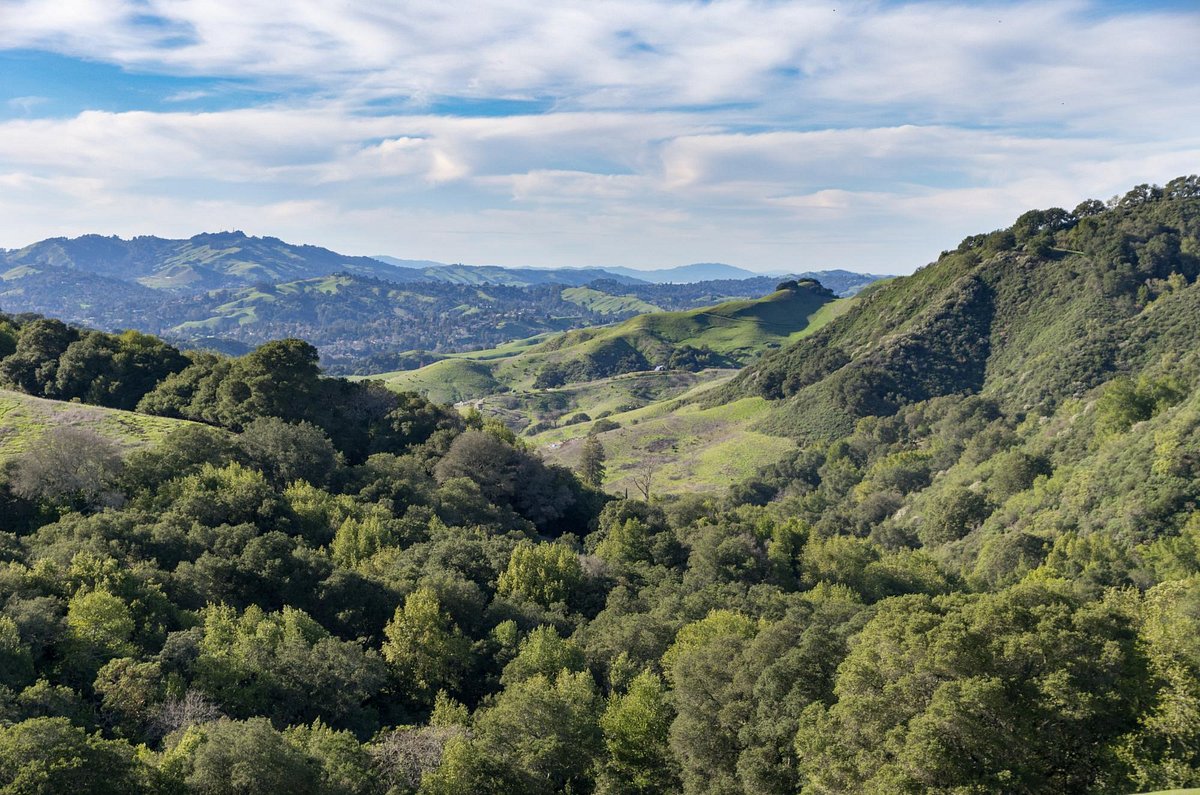 Las Trampas Regional Wilderness - All You Need to Know BEFORE You