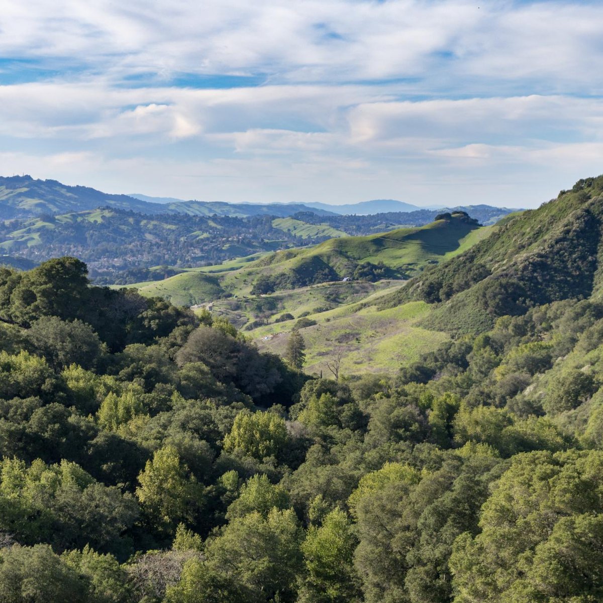 Las Trampas Regional Wilderness - All You Need to Know BEFORE You Go (2024)