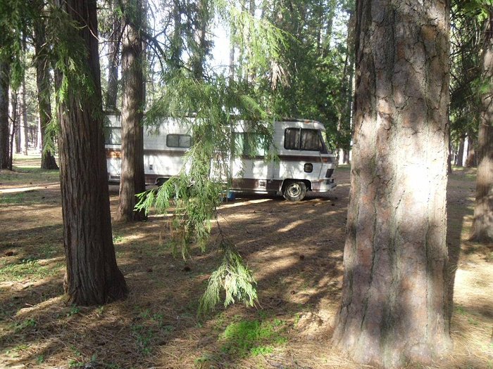 NEVADA COUNTY FAIRGROUNDS CAMPING (Grass Valley, CA) opiniones y