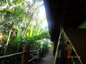 Room & Suite
