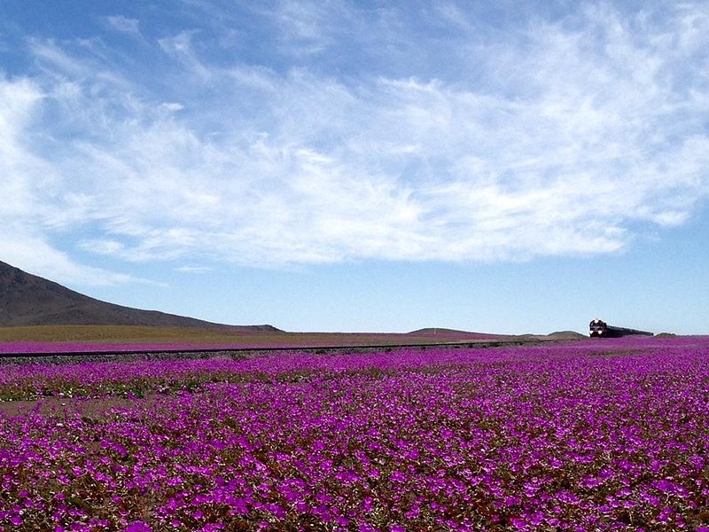 copiapo tourism