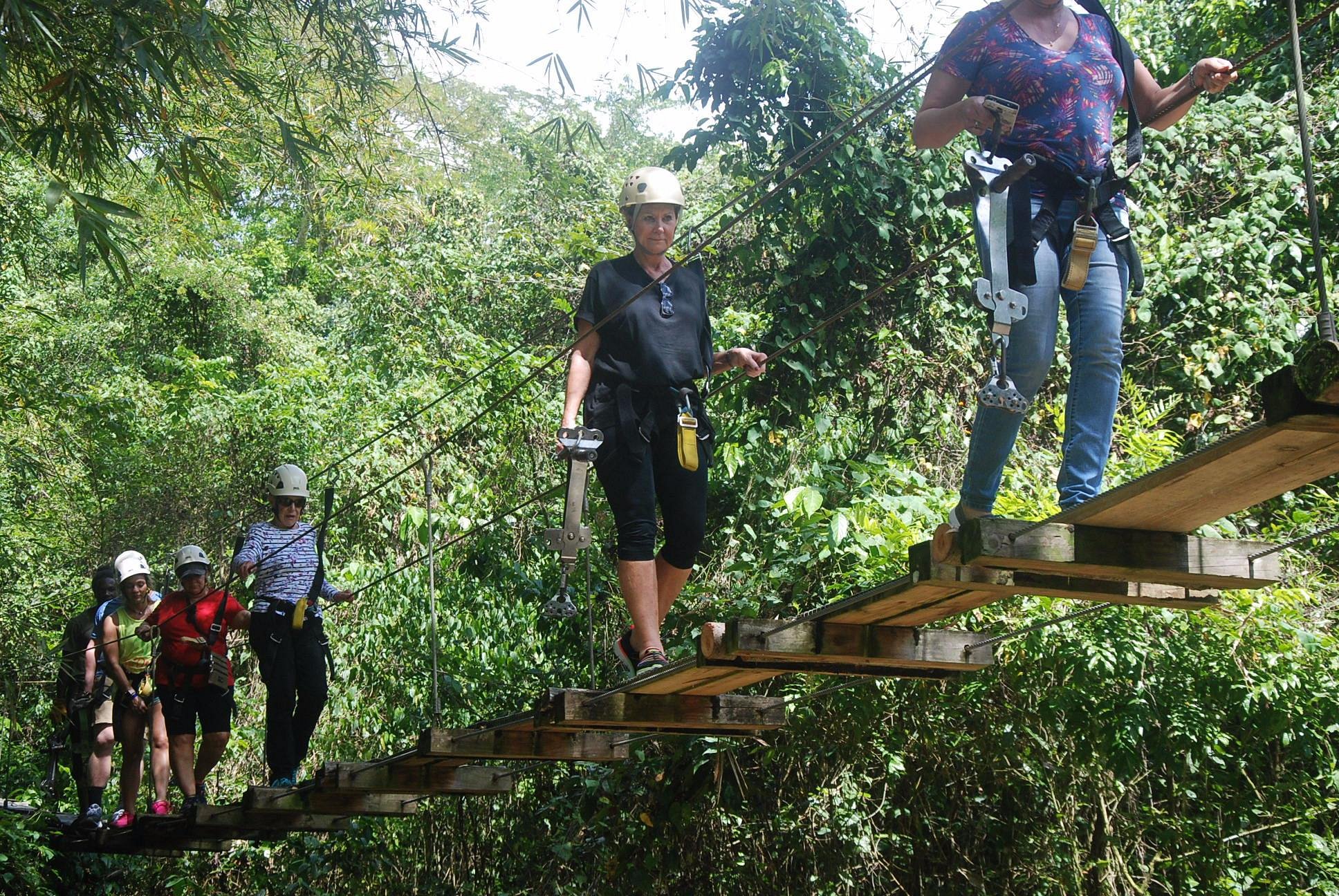 Jamaica Zipline Adventure Tours Lethe All You Need To Know Before