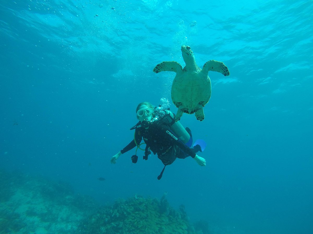 cancun dive center