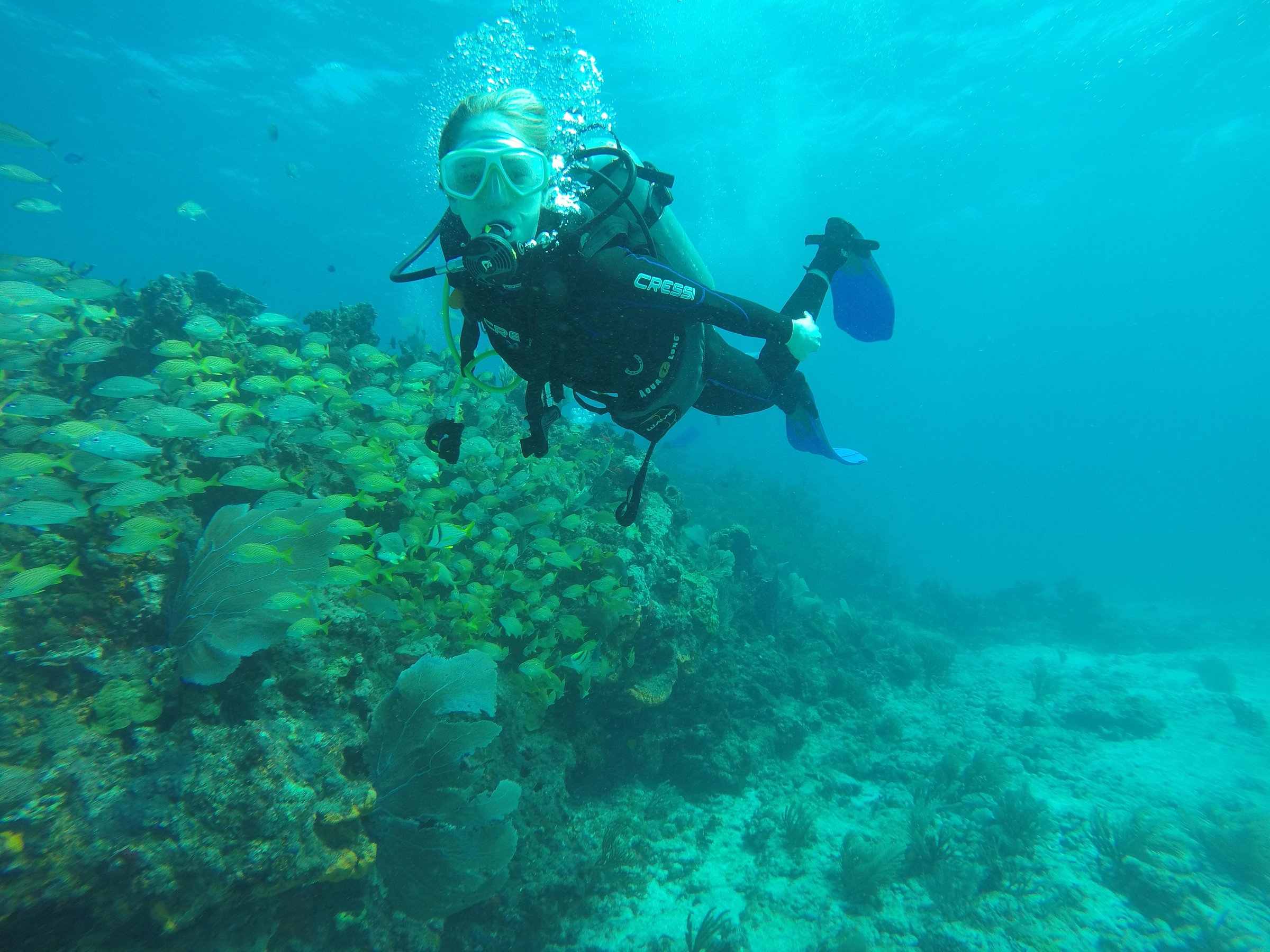 cancun diving trip