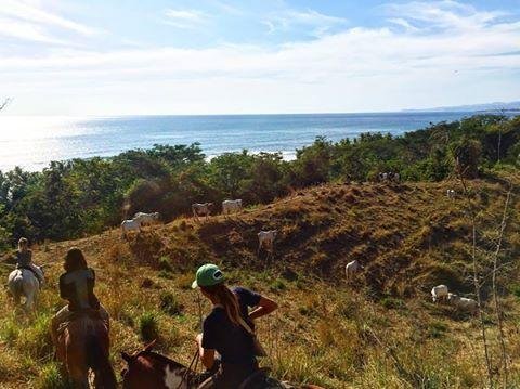 Cobano, Κόστα Ρίκα: Όλα όσα πρέπει να γνωρίζετεCobano, Κόστα Ρίκα: Όλα όσα πρέπει να γνωρίζετε  