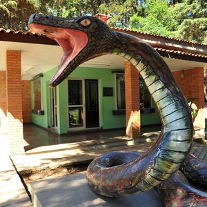 10 melhores restaurantes próximos ao Parque da Lagoa do Rizzo