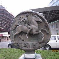 Монетка, вид анфас