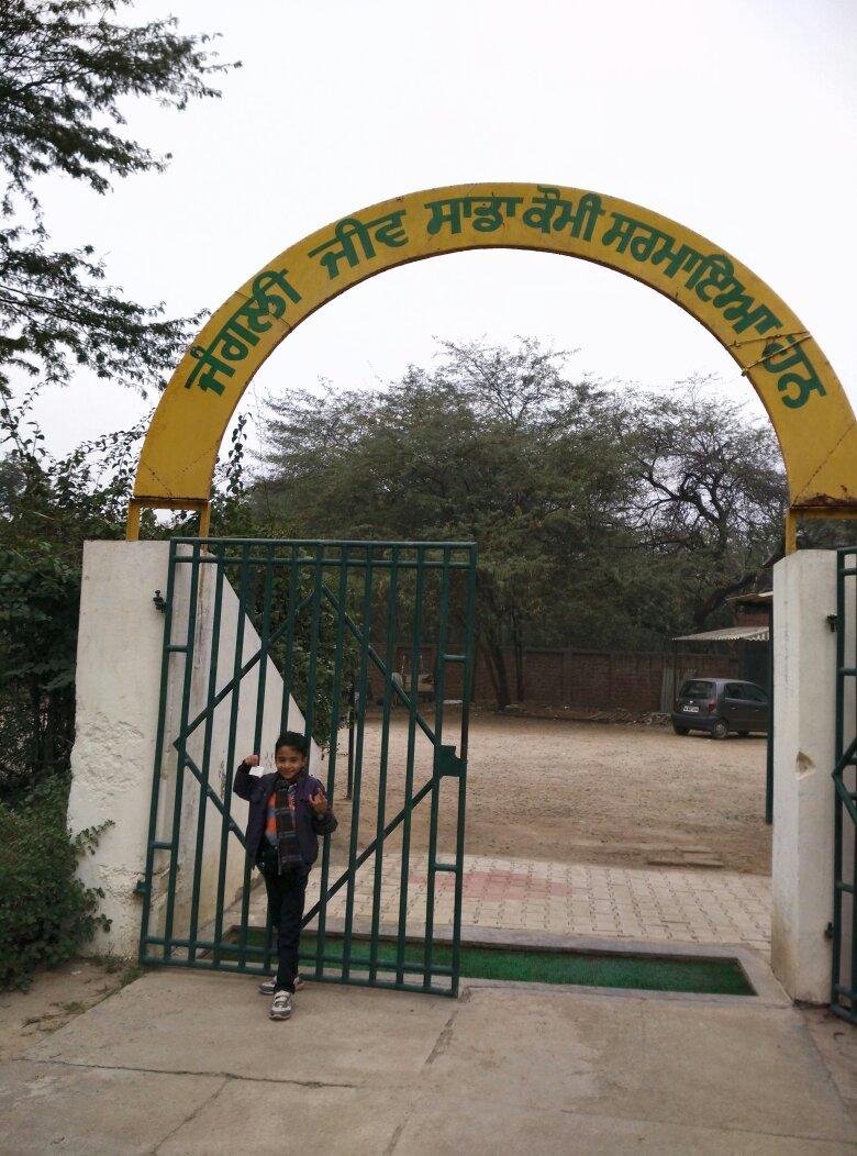Deer Park (Patiala) - All You Need to Know BEFORE You Go