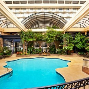 Garden Courtyard