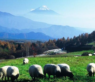 21年 北杜市で絶対外さないおすすめ観光スポットトップ10 定番から穴場まで トリップアドバイザー