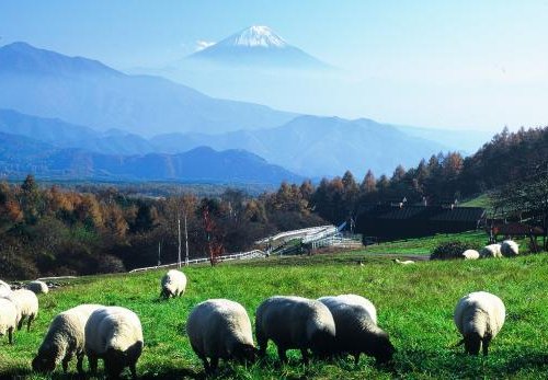 21年 北杜市で絶対外さないおすすめ観光スポットトップ10 定番から穴場まで トリップアドバイザー