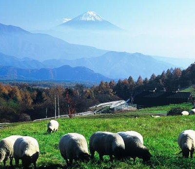 21年 北杜市で絶対外さないおすすめ観光スポットトップ10 定番から穴場まで トリップアドバイザー 21年 北杜市で絶対外さないおすすめ観光スポットトップ10 定番から穴場まで トリップアドバイザー