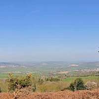 Trinity Hill Scrub land
