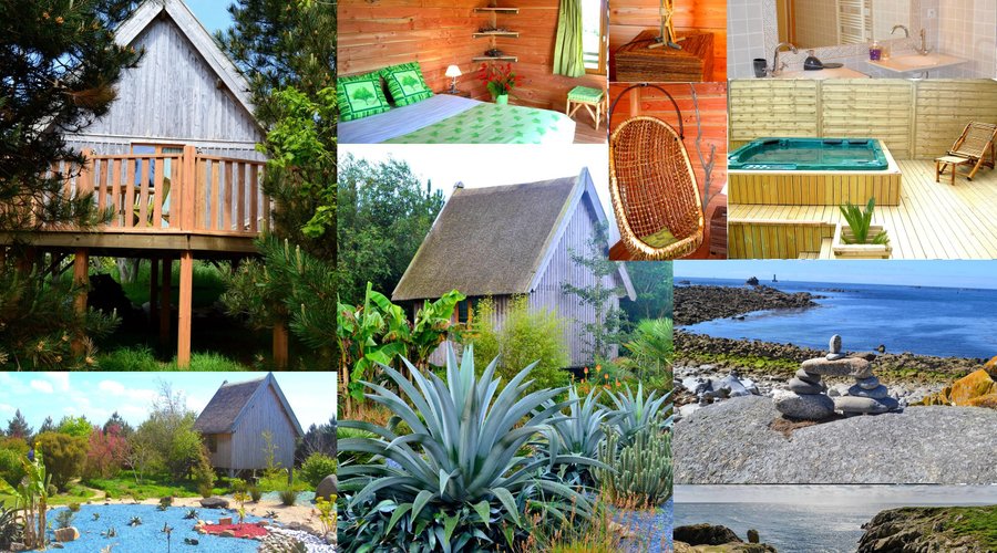 cabane sur pilotis au milieu des arbres