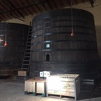 barril de malbec