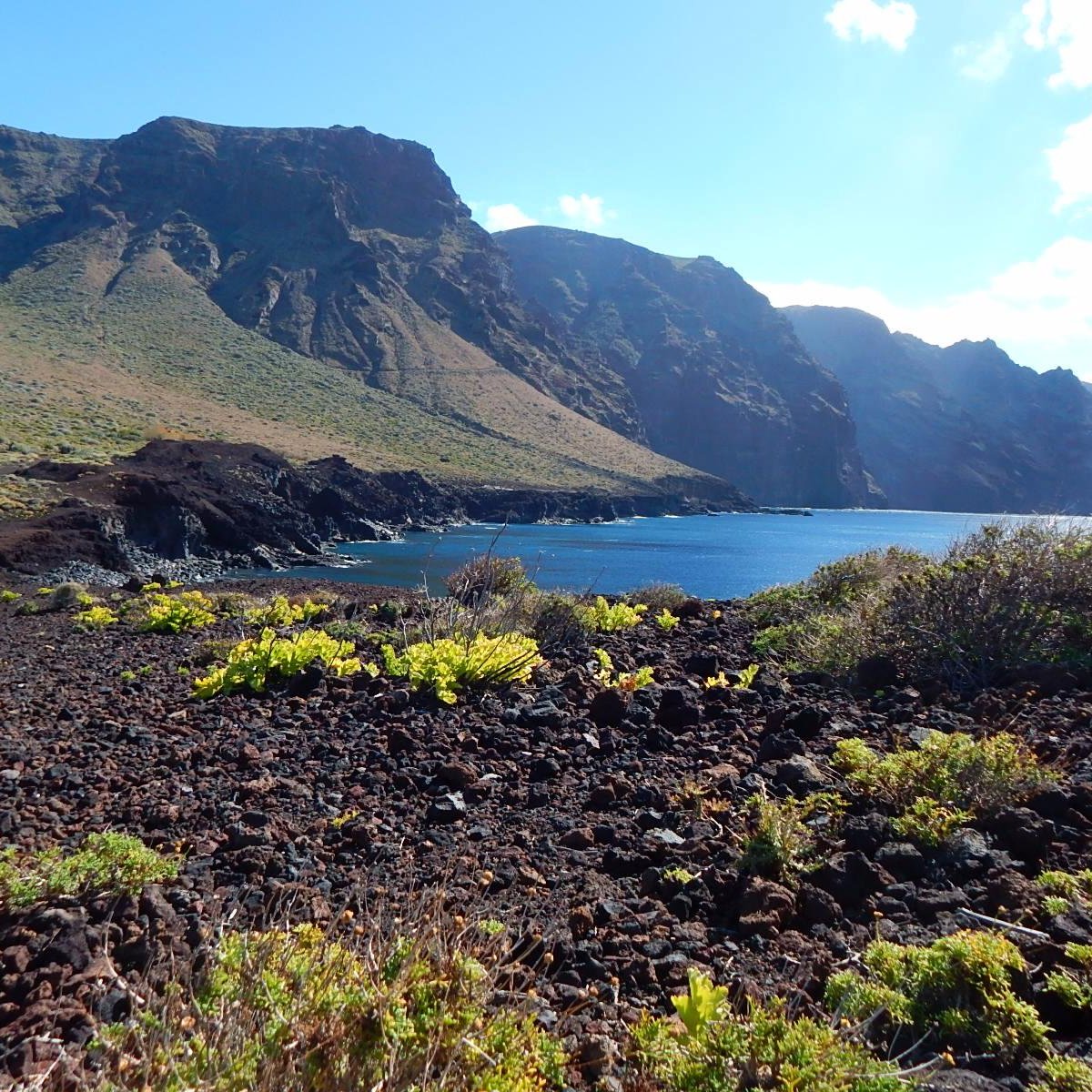 Picture of Parque Rural de Teno