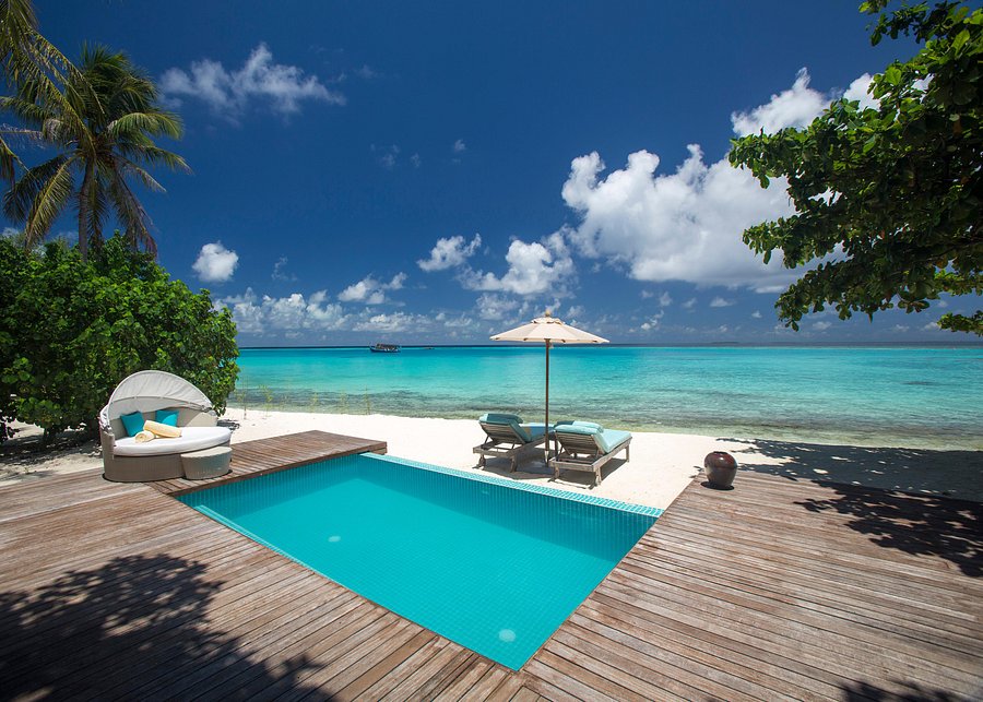 ロアマ リゾート モルディブ アット マーミギリ Loama Resort Maldives At Maamigili モルディブ 21年最新の料金比較 口コミ 宿泊予約 トリップアドバイザー ロアマ リゾート モルディブ アット マーミギリ Loama Resort Maldives At Maamigili モルディブ 21年最新の料金比較 口コミ 宿泊予約 トリップアドバイザー