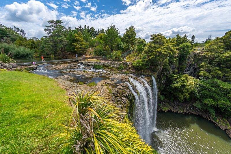 Whangarei Falls image
