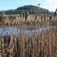 The view at Seaton Wetlands