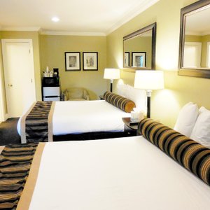 Standard 2 Queen Room