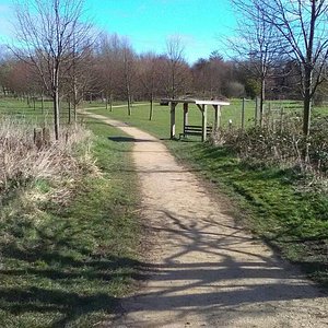 Garden Wildlife Blog #6 - Frampton Marsh - Frampton Marsh - The RSPB  Community