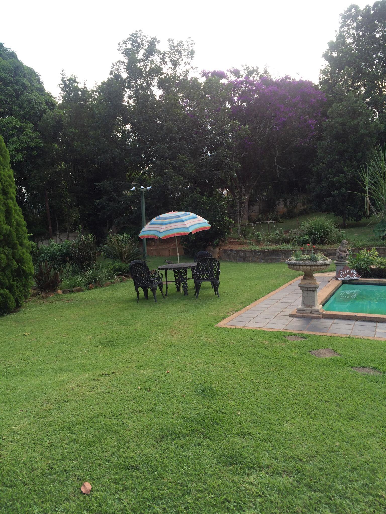 THE SLEEPING BAO B&B (Pietermaritzburg, Sudáfrica): Opiniones Y Precios