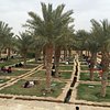 What to do and see in Diryah, Riyadh Province: The Best Things to do