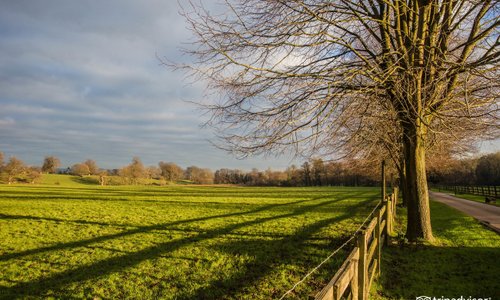 Grounds at the Chilston Park Hotel
