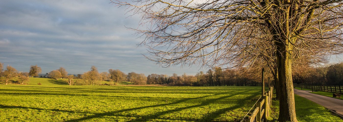 Grounds at the Chilston Park Hotel
