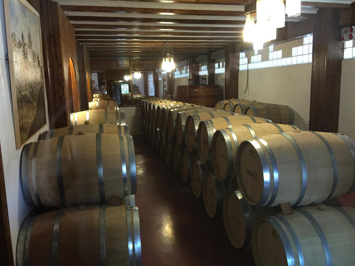 wine tours from valencia