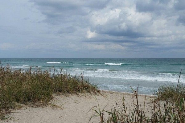 család szíve és egészsége jensen beach fl)
