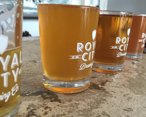 New craft brewery cruises into Guelph (6 photos) - Guelph News