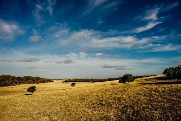 Flour Cask Bay Retreat Rooms: Pictures & Reviews - Tripadvisor