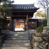 正面入口。山門の左に樹齢500年と言われる松が生える。