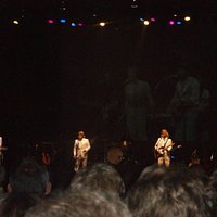BeeGee type performance