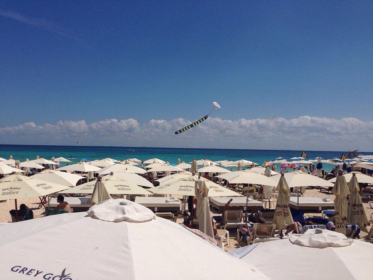 Kool Beach Club (Playa del Carmen) - All You Need to Know BEFORE You Go