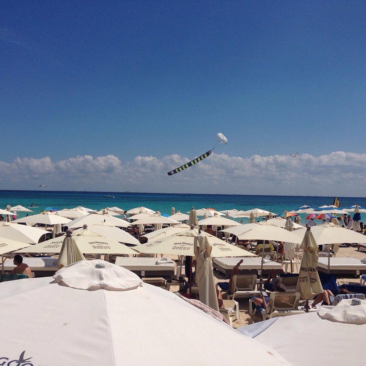 KOOL BEACH CLUB (Playa del Carmen) - All You Need to Know BEFORE You Go
