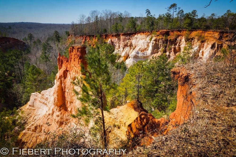 are dogs allowed at providence canyon state park