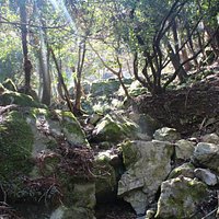 岩と日ざし