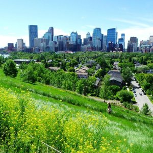 Nose Hill Park in Northwest Calgary - Tours and Activities