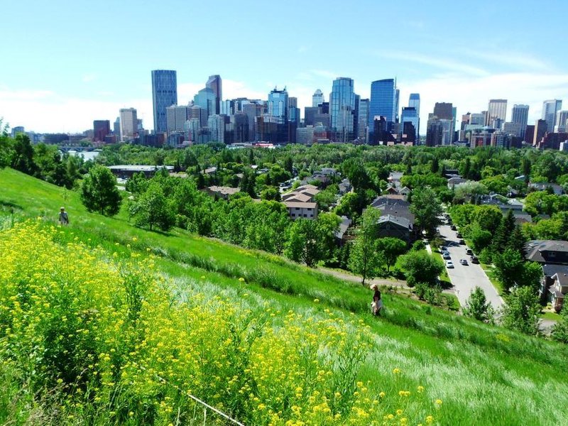 Calgary, Alberta All You Must Know Before You Go (2024) Tripadvisor