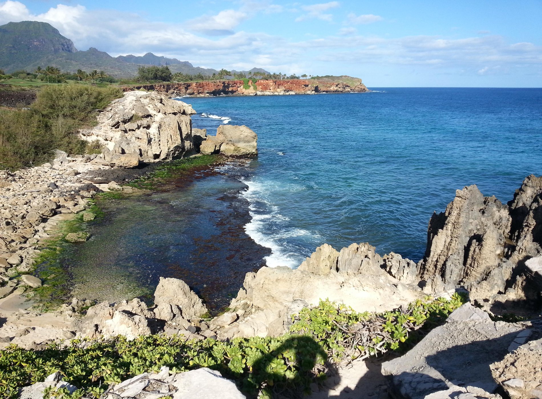 Kauai Cove Cottages by null
