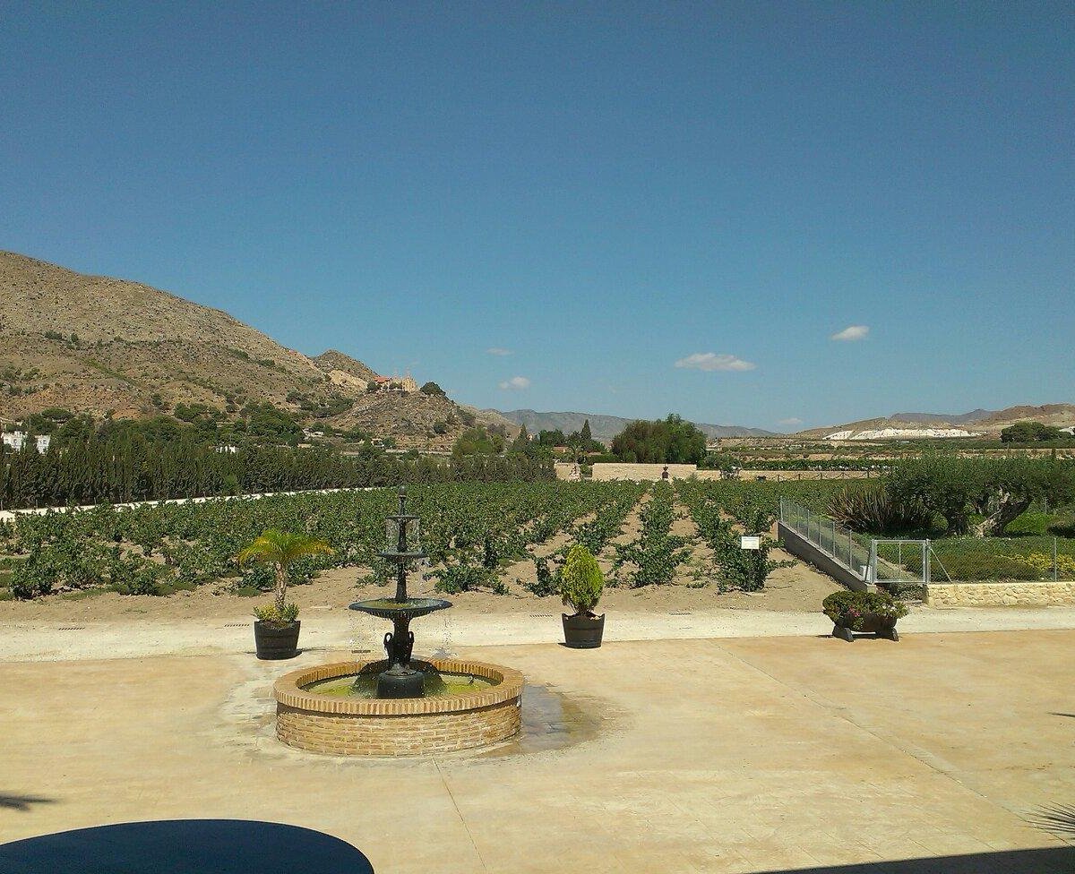 Bodega Casa Sicilia, Novelda: лучшие советы перед посещением - Tripadvisor