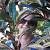 Lelle_61