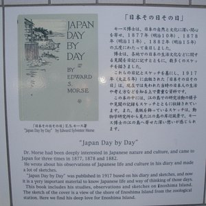 21年 藤沢市で絶対外さないおすすめ観光スポットトップ10 定番から穴場まで トリップアドバイザー