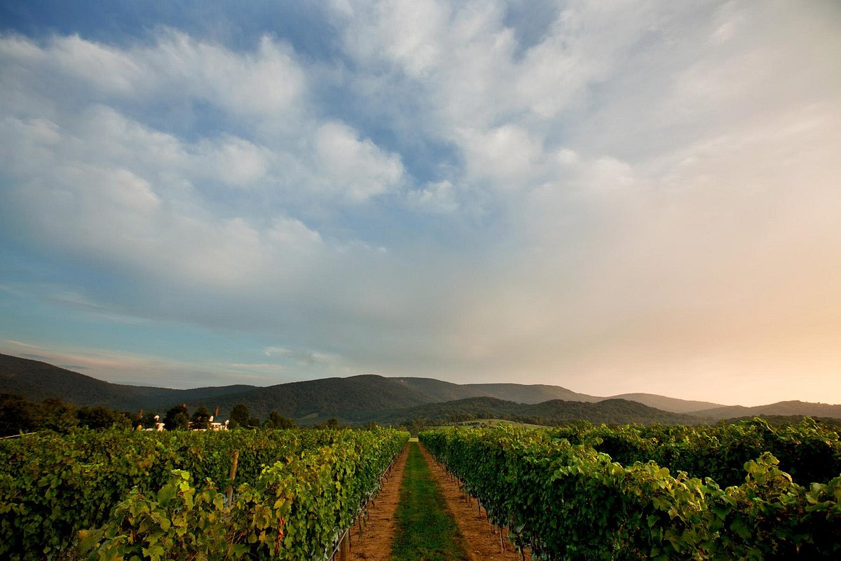 Fall into paradise - Wines of the King Valley